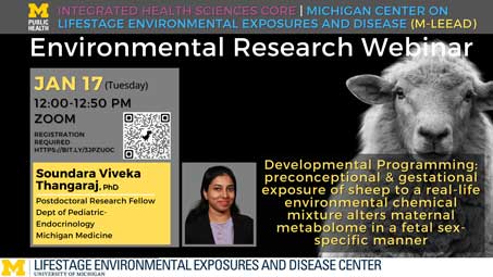 Flyer for “Developmental Programming: preconceptional and gestational exposure of sheep to a real-life environmental chemical mixture alters maternal metabolome in a fetal sex-specific manner”
