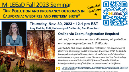 Flyer for “Air Pollution and Pregnancy Outcomes in California: Wildfires and Preterm Birth”