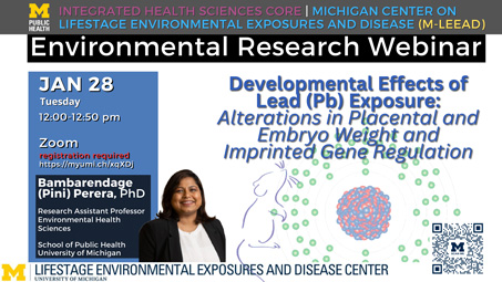 Flyer for “Developmental Effects of Lead (Pb) Exposure: Alterations in Placental and Embryo Weight and Imprinted Gene Regulation”