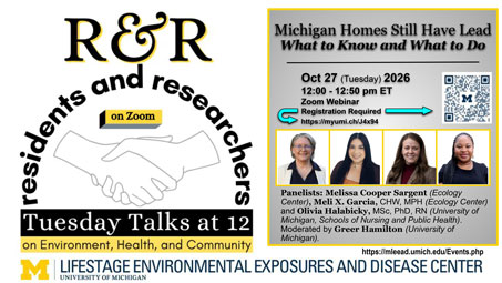 Thumbnail of flyer for “Michigan Homes Still Have Lead: What to Know and What to Do”